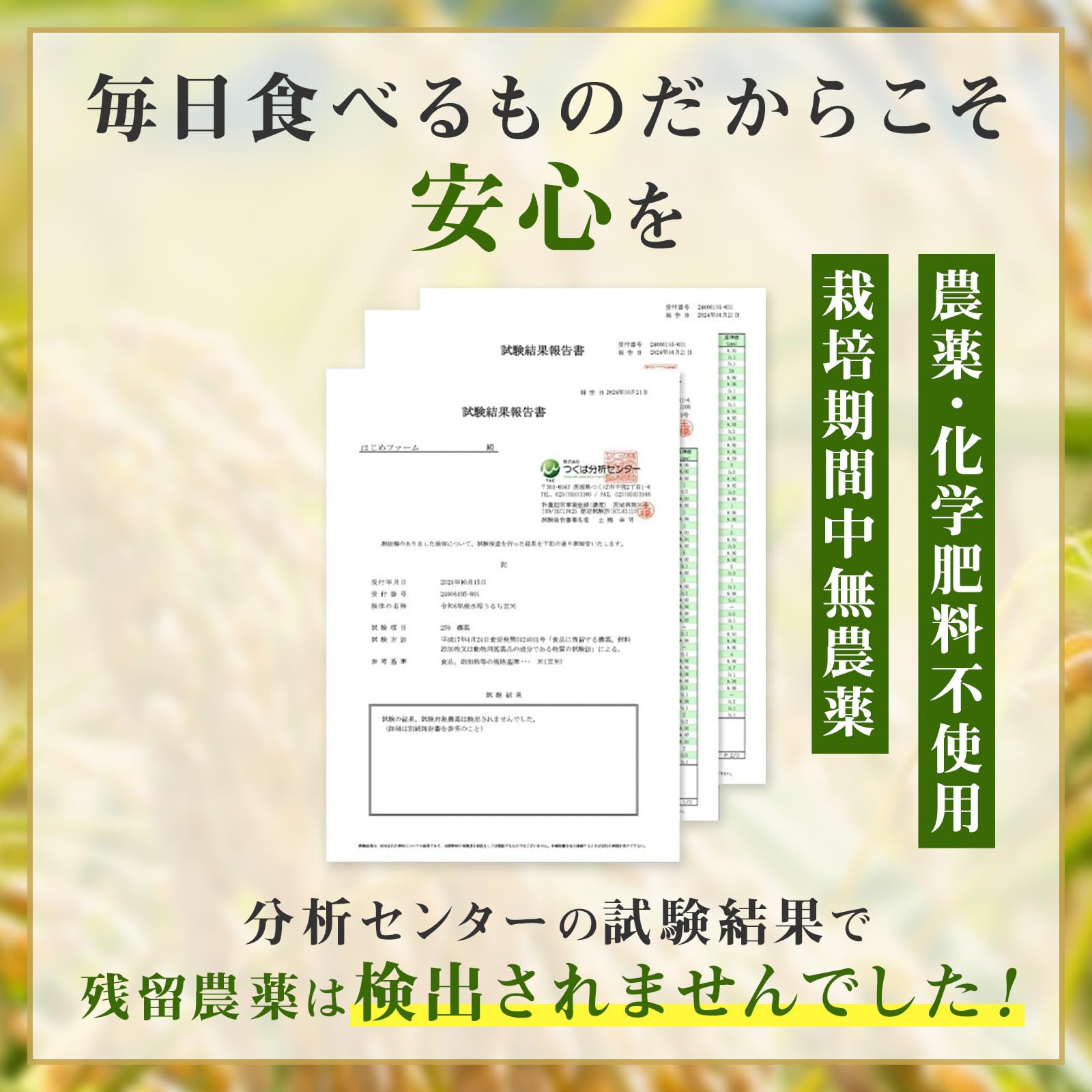 Amazon.co.jp: 訳あり 無農薬 白米 オリジナルブレンド米 熊本県産
